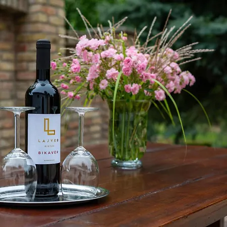 招待所 Degi Festetics-kastely, Park Vendeghaz 3*