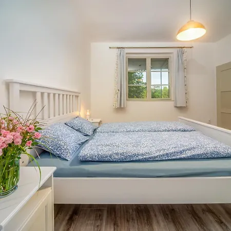 Degi Festetics-kastely, Park Vendeghaz