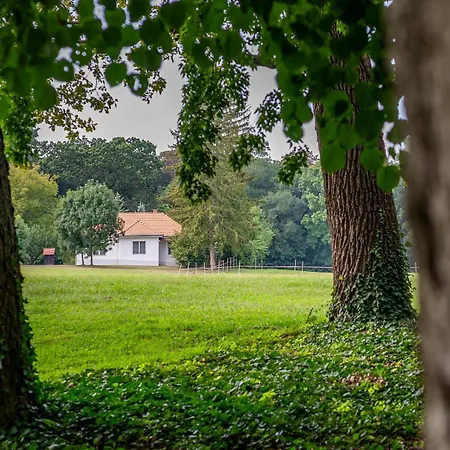 招待所 Degi Festetics-kastely, Park Vendeghaz Dég